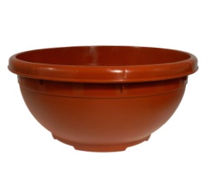PAILA Nº30