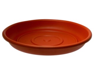 PLATO 4 PLATO Nº4