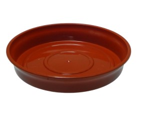 PLATO LUJO Nº3