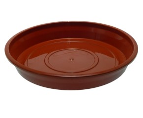 PLATO LUJO Nº4
