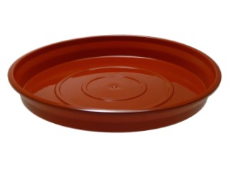 PLATO LUJO Nº5